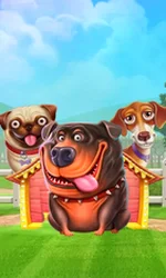 The Dog House